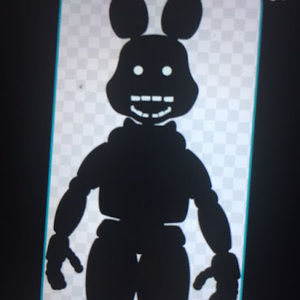 Meet your Posher, Sarita